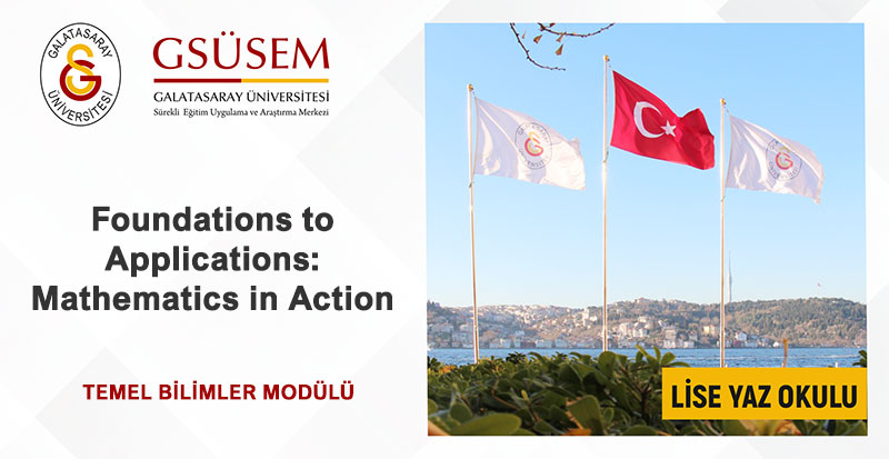 Foundations to Applications: Mathematics in Action gorsel