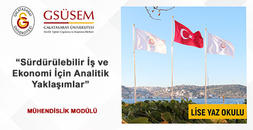 Sürdürülebilir İş ve Ekonomi İçin Analitik Yaklaşımlar gorsel